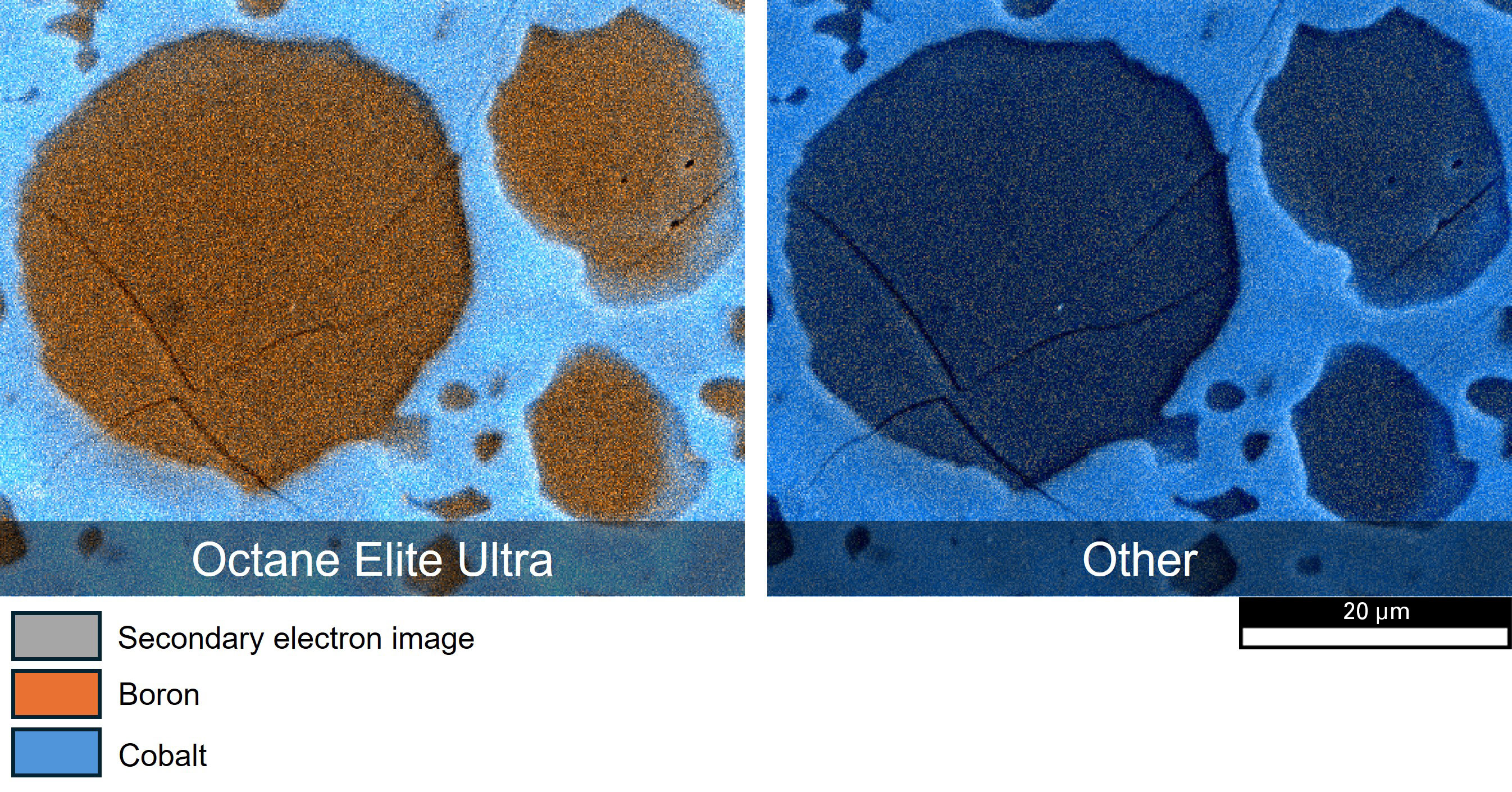 Composite images of boron and cobalt elemental maps overlayed on the secondary electron image of a boron steel sample. a) Captured with the Octane Elite Ultra and b) another EDS detector; the superior sensitivity of the Octane Elite Ultra to light elements enables boron distribution to be mapped and determined quantitatively.